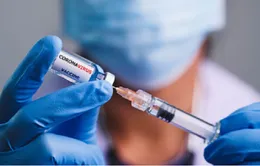 Điều gì sẽ xảy ra nếu tiêm vaccine khi nhiễm COVID-19?