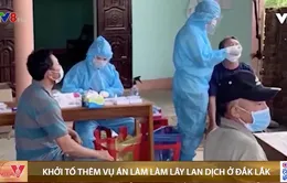 Khởi tố thêm một vụ án làm làm lây lan dịch ở Đắk Lắk