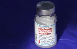 Anh cấp phép dùng vaccine của Moderna cho trẻ em từ 12 - 17 tuổi