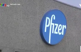 Pfizer xin cấp phép tiêm liều tăng cường tại Mỹ