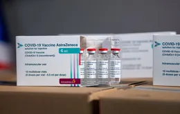 Thêm 1,2 triệu liều vaccine COVID-19 của AstraZeneca đến Việt Nam