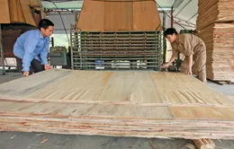 Ngăn chặn hàng xuất khẩu đội lốt “Made in Việt Nam”