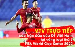 VTV trực tiếp các trận đấu của ĐT Việt Nam thuộc vòng loại thứ 3 FIFA World Cup Qatar 2022