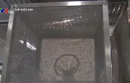 Trung Quốc sử dụng công nghệ hạt nhân để diệt muỗi