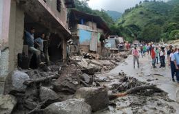 Lũ lụt ở Venezuela gây thiệt hại nghiêm trọng, số nạn nhân thiệt mạng tăng lên ít nhất 20 người