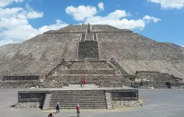 Phát hiện bó hoa hơn 2.000 tuổi dưới kim tự tháp Teotihuacan
