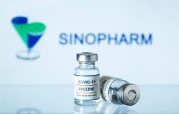 Hải Phòng đề nghị mượn TP Hồ Chí Minh 500.000 liều vaccine Sinopharm