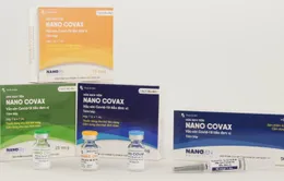 Vaccine Nanocovax giai đoạn 3a đạt yêu cầu về tính an toàn, đề xuất xem xét cấp giấy đăng ký lưu hành có điều kiện