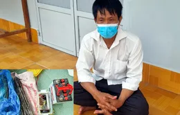 Khởi tố 2 người dùng điện bẫy chuột gây chết người