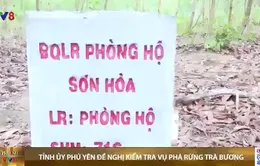 Tỉnh ủy Phú Yên đề nghị kiểm tra vụ phá rừng Trà Bương, Sơn Hòa