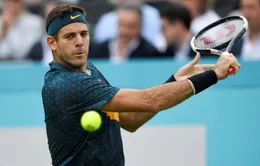 Juan Martin del Potro đặt mục tiêu sẽ thi đấu trong năm 2022