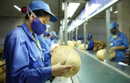 Bộ Lao động - Thương binh và Xã hội đề xuất tăng thời gian làm thêm