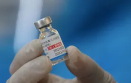 Hà Nội nhận thêm 418.000 liều vaccine Vero Cell