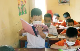 Học sinh Việt Nam đứng đầu ở 3 lĩnh vực cấp Tiểu học khu vực Đông Nam Á