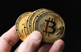 Bitcoin bật tăng, vượt 48.000 USD