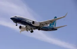 Kiến nghị cho phép nhập khẩu máy bay Boeing 737 Max vào Việt Nam