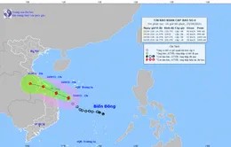 Bão số 6 sẽ gây mưa lớn từ Quảng Trị đến Bình Định