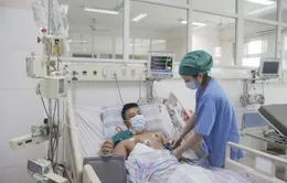 Cảnh báo tai nạn điện giật khi câu cá dưới đường điện