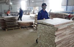 Hơn 50% doanh nghiệp gỗ đứng trước bờ vực phá sản
