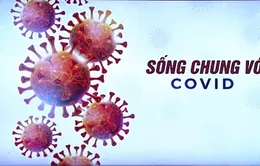 Số ca mắc mới tăng cao khi Singapore sống chung với COVID-19