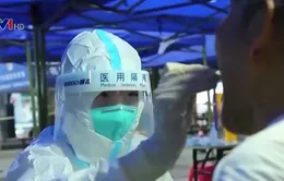 WHO: "Chúng ta sẽ không thể đánh bại virus nếu không biết nó ở đâu"
