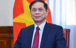 Ngoại giao Việt Nam vì sự nghiệp bảo vệ và phát triển đất nước dưới ánh sáng Nghị quyết Đại hội Đảng XIII