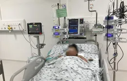 Số ca nặng và tử vong do sốt xuất huyết gia tăng ở khu vực phía Nam