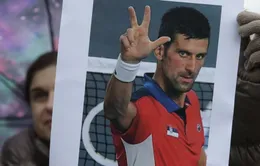 Phản ứng trái chiều khi Novak Djokovic thắng kiện