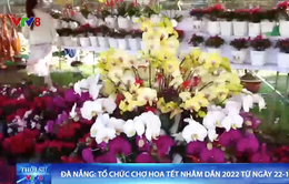 Đà Nẵng tổ chức chợ hoa Tết Nhâm Dần 2022 từ ngày 22-1