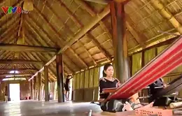 Đắk Lắk hỗ trợ phát triển du lịch cộng đồng