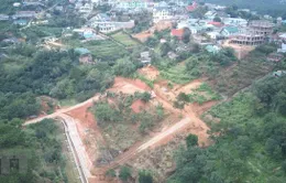 Lâm Đồng ngừng thi công công trình trên đất phân lô tách thửa