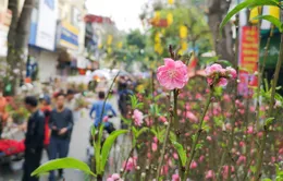 Hà Nội: Cấm xe nhiều tuyến phố phục vụ chợ hoa Tết Nhâm Dần