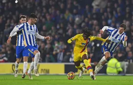 Brighton chia điểm trước Crystal Palace trên sân nhà