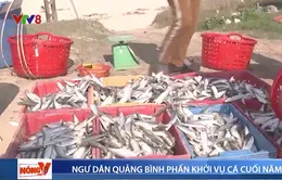 Ngư dân Quảng Bình trúng đậm vụ cá cuối năm