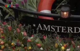 Ngày hoa Tulip quốc gia tại Hà Lan