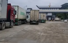 Hàng trăm container từ Lạng Sơn lên Cao Bằng tìm cơ hội thông quan