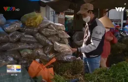 Rượu ngâm không rõ nguồn gốc- nỗi lo trong ngày tết