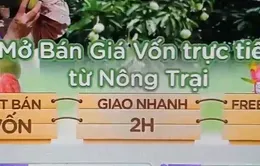 Kết nối sàn thương mại để tiêu thụ nông sản