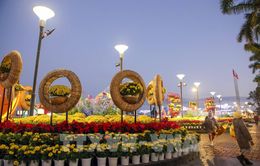 Trầm lắng chợ hoa Tết sáng cuối năm ở Đà Nẵng