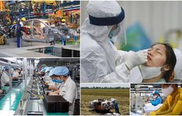 World Bank dự báo kinh tế Việt Nam tăng trưởng 5,5% năm 2022