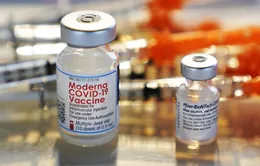 2/3 người trưởng thành ở Mỹ không có kế hoạch đi tiêm mũi vaccine COVID-19 cập nhật