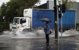 Mưa lớn giảm bớt ở miền Đông Australia, mối đe dọa lũ lụt vẫn tiềm ẩn