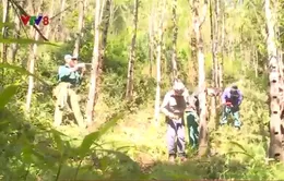 Làng gió trầm Hương Khê Hà Tĩnh