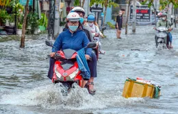 Người dân Cần Thơ vật lộn với đợt triều cường vượt báo động 3