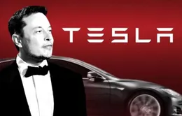 Cổ phiếu Tesla lao dốc, Elon Musk mất 11 tỷ USD sau một đêm