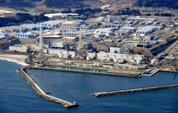 Nhật Bản trở lại với điện hạt nhân