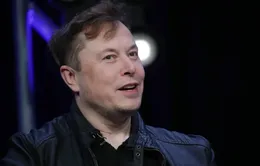 Elon Musk dự kiến sa thải 75% nhân viên Twitter