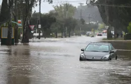 Miền Đông Australia hứng chịu thêm mưa lớn, lũ lụt “đe dọa tính mạng”