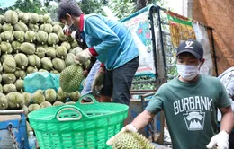 Nhiều trái cây Việt được cấp “visa” vào thị trường lớn