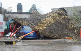 Bão Roslyn trút mưa lớn gây lũ lụt ở Mexico, 2 người thiệt mạng